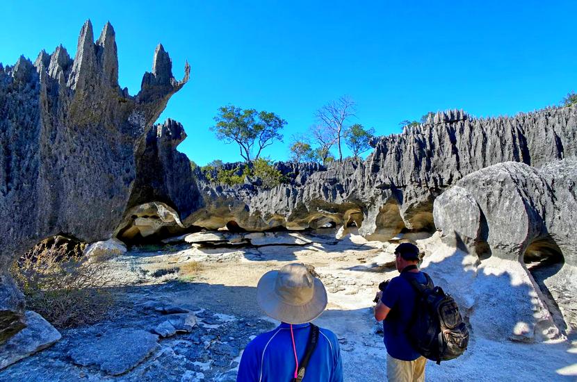 Madagascar décroche le meilleur titre de destination nature de l’Océan Indien 2026 …