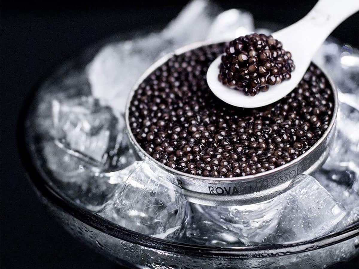 Madagascar reste le seul producteur africain de Caviar