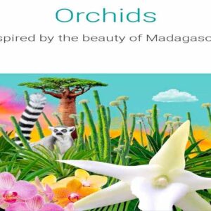 Orchids Festival de 2024 : Madagascar au cœur de la biodiversité