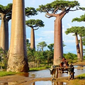 Tourisme Madagascar : Réhabilitation des infrastructures routières vers un développement durable